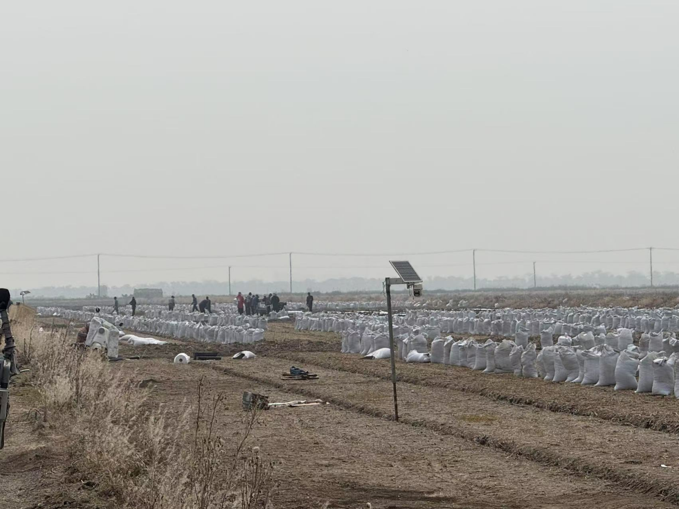 B87919004F62FF45A453F3794F65E968_副本